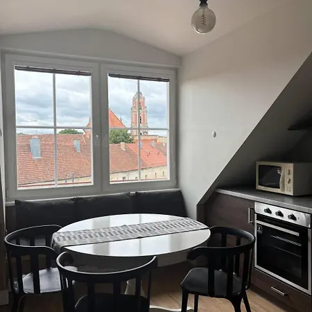 Old Town View Apartment Vilnius